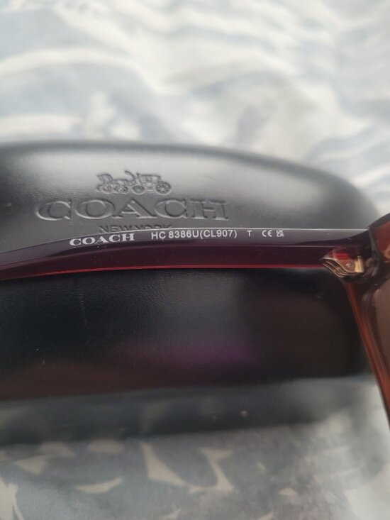 NEW Coach HC8386U CL907 Sunglasses Transparent Caramel Pink Lens